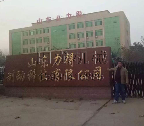 山东客户斗式完美在线(中国)使用现场