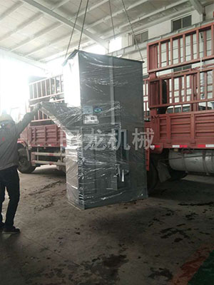 NE50斗式完美在线(中国)发货